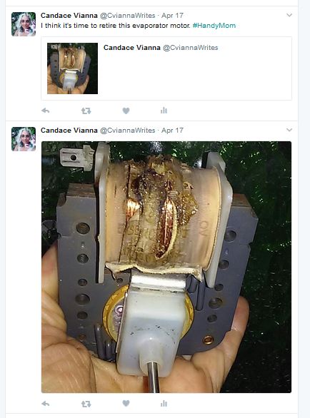 Twitter Refrigerator Chronicles2